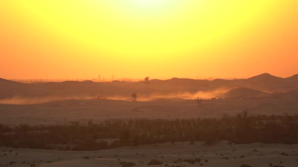 砂漠の夕日 — ストック動画