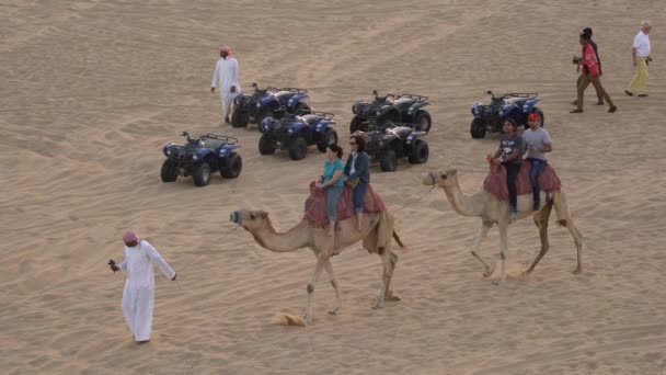 Camellos Vehículos Todo Terreno Desierto Abu Dhabi — Vídeos de Stock