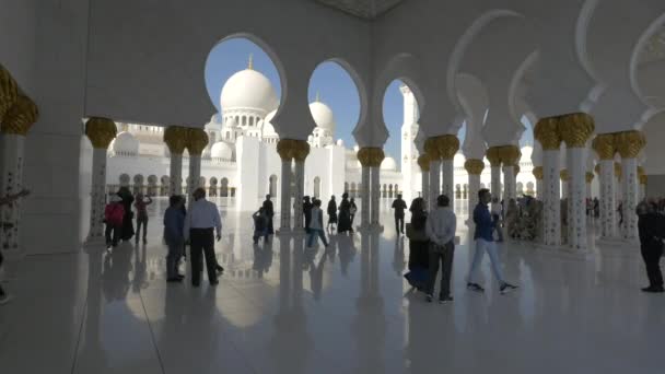 Turisti Visita Alla Grande Moschea Dello Sceicco Zayed — Video Stock
