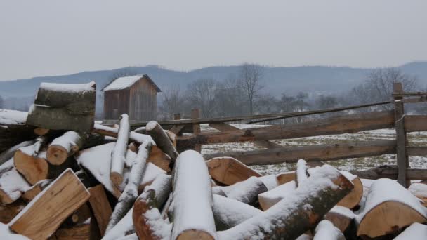 Ein Schneebedeckter Holzhaufen — Stockvideo