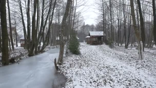 森林里结冰的溪流 — 图库视频影像