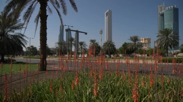 Башни Этихада Абу Даби — стоковое видео