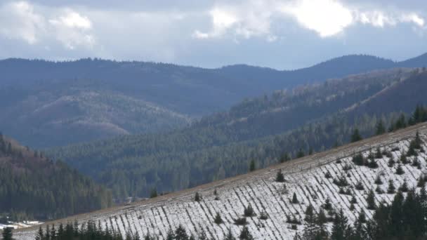 Heuvels Bedekt Met Bossen Putna — Stockvideo