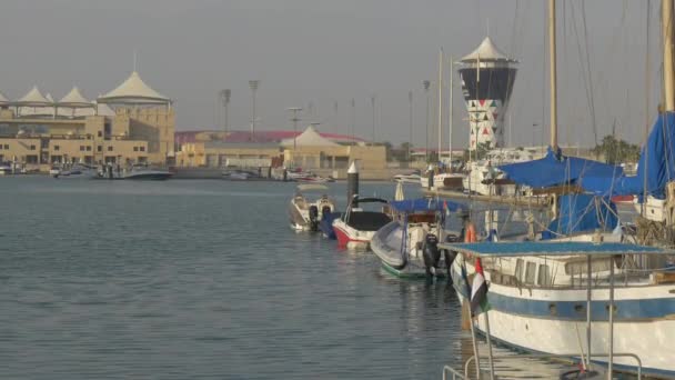 Bateaux Près Une Tour — Video