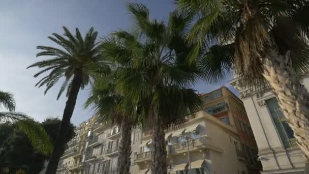 Binaların Önündeki Palmiye Ağaçları — Stok video