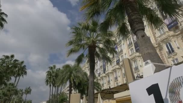 Палм Дерева Будинок Готелю Карлтон — стокове відео