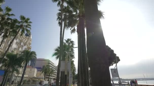 Palmbomen Tegenover Carlton Hotel — Stockvideo