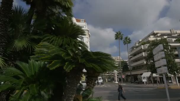 Palm Träd Och Majestic Barriere Hotel — Stockvideo