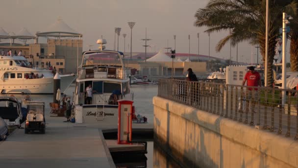 Лодки Гавани — стоковое видео