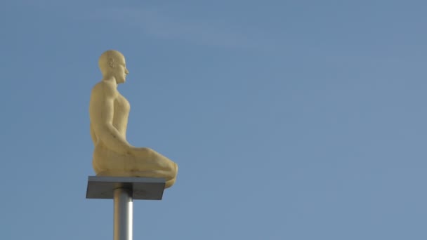 Eine Männerstatue Auf Einer Stange — Stockvideo