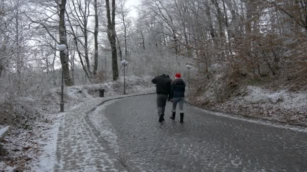 Camminare Una Strada Asfaltata Una Giornata Invernale — Video Stock