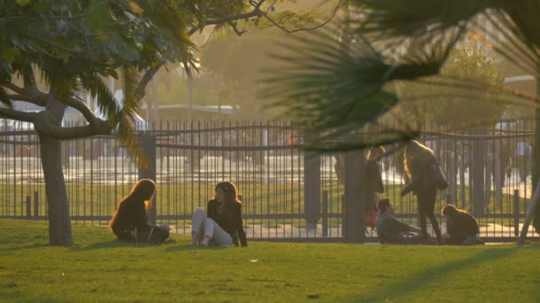 Pessoas Sentadas Grama Parque — Vídeo de Stock