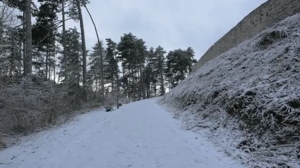 Alley Covered Snow — Stock Video