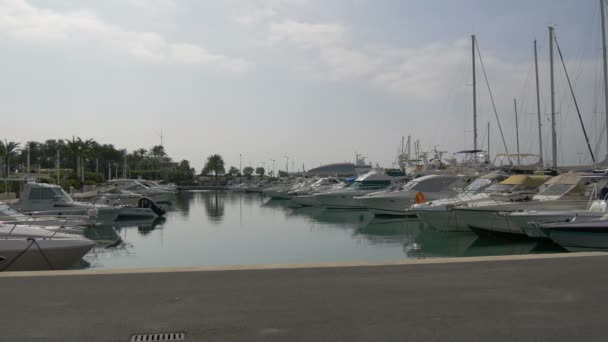 Quay Port Pierre Canto — Vídeo de Stock