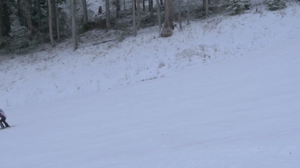 Folk Som Står Ski Nær Skog – stockvideo