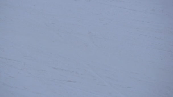 Primer Plano Personas Esquiando Haciendo Snowboard — Vídeo de stock