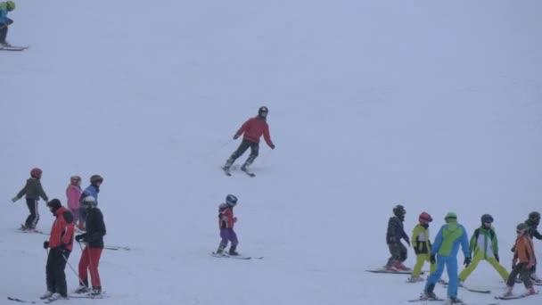 大人と子供のスキーとスノーボード — ストック動画