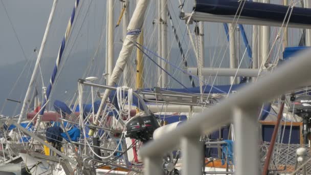 Mâts Boisements Dans Port — Video