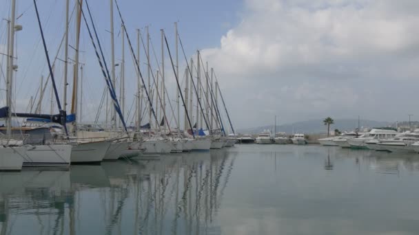 Sailing Boats Anchored Port — Stock Video