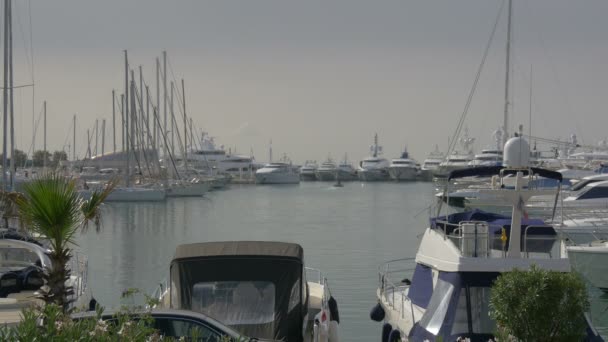 Verankerte Boote Hafen — Stockvideo