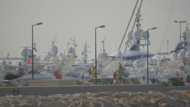 Barcos Atracados Porto — Vídeo de Stock