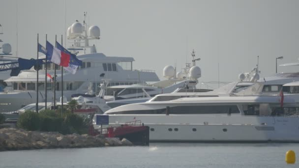 Yacht Återvänder Till Hamnen — Stockvideo