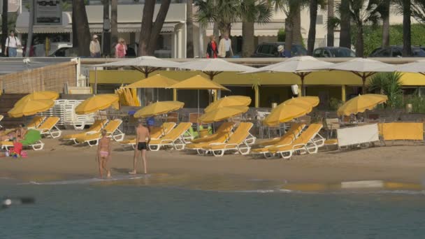 Camas Sol Amarelas Guarda Sóis Praia — Vídeo de Stock