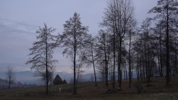 Bäume Auf Einem Rumänischen Hügel — Stockvideo