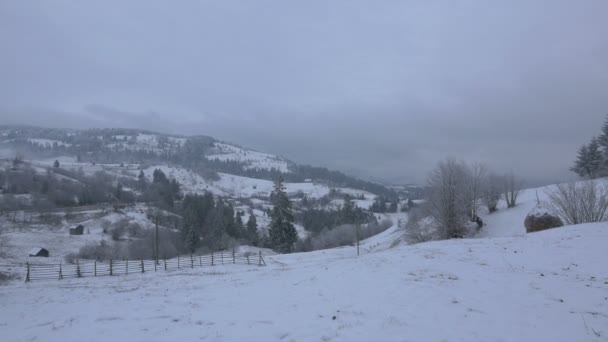 Úžasná Zasněžená Zimní Krajina — Stock video