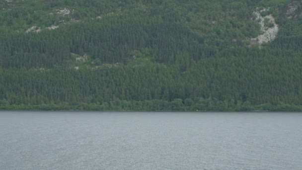 小山和湖面的左边 — 图库视频影像