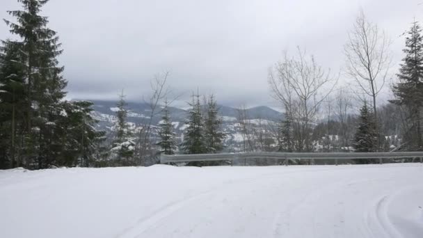 Lake Seen Fir Trees Colibita — Stock Video