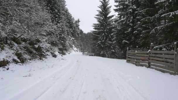 Camino Montaña Invierno — Vídeos de Stock