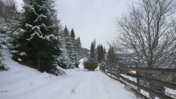 Dray Rolling Snowy Road — Stock Video