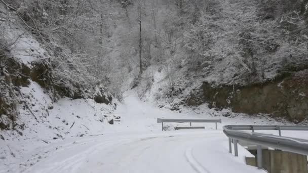 Χιονισμένο Δρόμο Για Χειμώνα Βίντεο Κλιπ