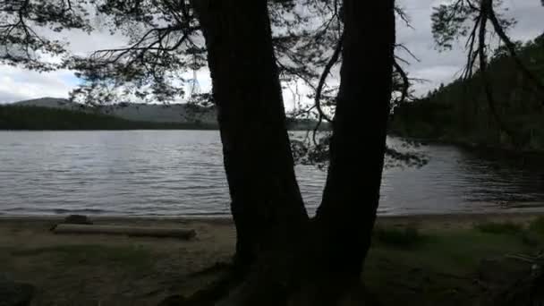 Une Rive Lac Avec Des Arbres — Video