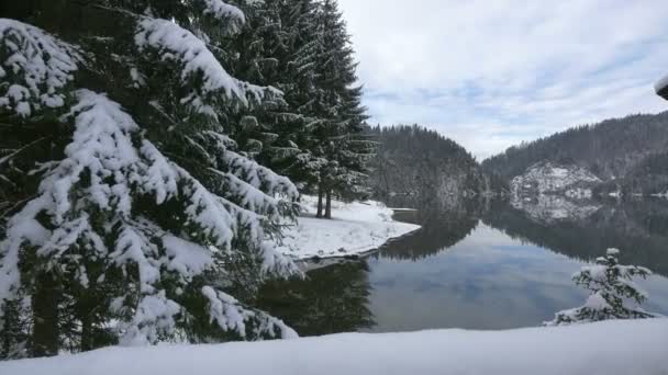 雪のウォーターフロントと湖の景色 — ストック動画