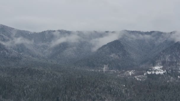 Uitzicht Mistige Bergen Bossen — Stockvideo