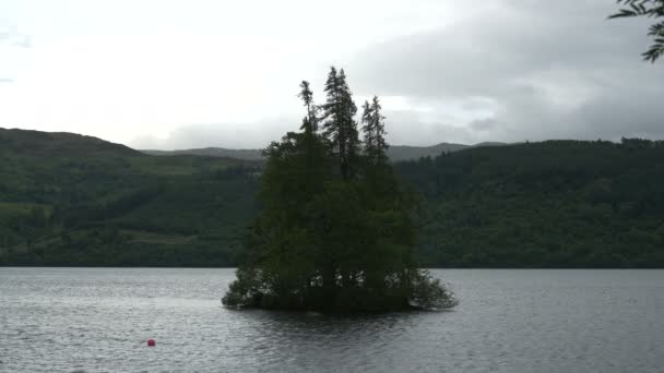 湖中有树的岛屿 — 图库视频影像