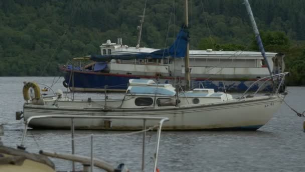 Barcos Anclados Lago — Vídeos de Stock