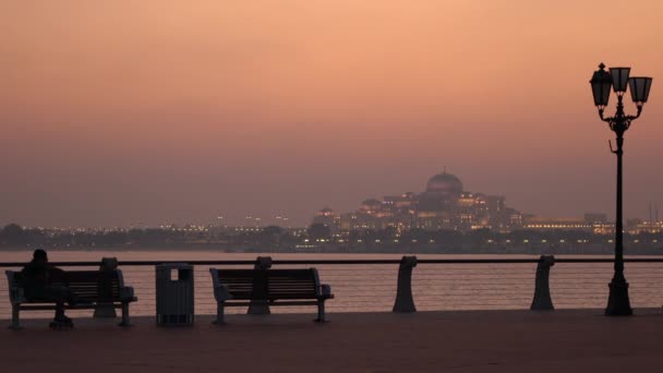 Uae Presidential Palace Seen Dusk — Stockvideo