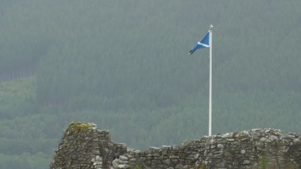 Scottish Flag Castle Ruins — ストック動画