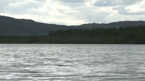 Collines Boisées Lac — Video