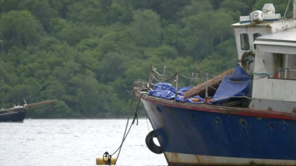 Een Verankerde Blauwe Boot — Stockvideo