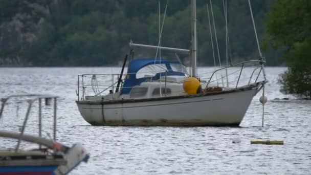 Sailboat Anchored Water — Stock Video