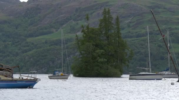 Bateaux Ancrés Près Des Arbres Sur Lac — Video