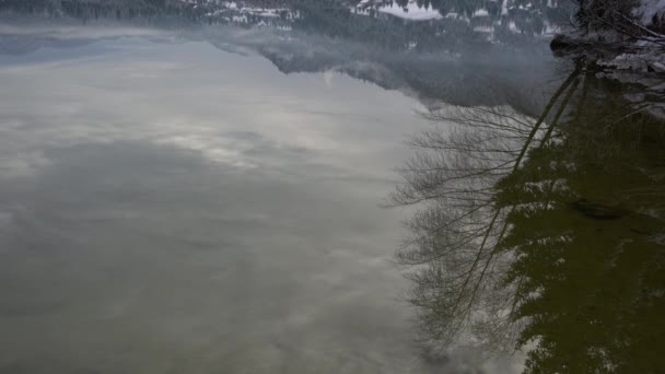 Lustrzana Woda Odbijająca Chmury Drzewa — Wideo stockowe