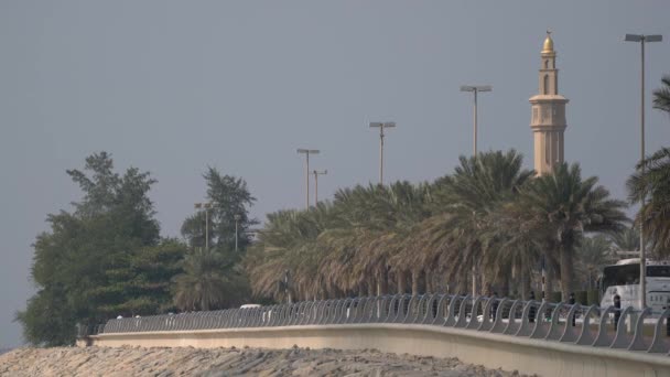 Carretera Con Palmeras Abu Dhabi — Vídeo de stock