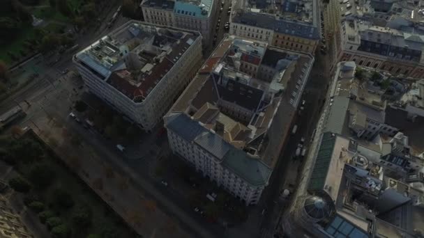 Antenne Der Neuen Burg Und Der Umliegenden Gebäude — Stockvideo