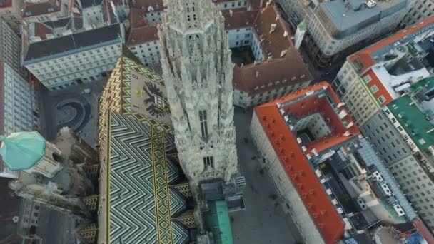 Luchtfoto Van Stephansdom Avond — Stockvideo