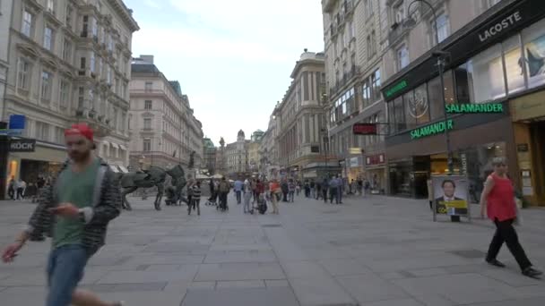 Ulica Graben Wiedeń Austria — Wideo stockowe